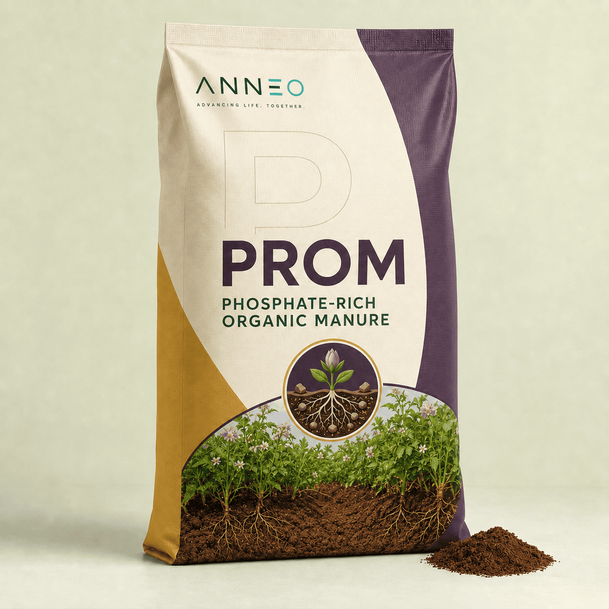 Anneo PROM